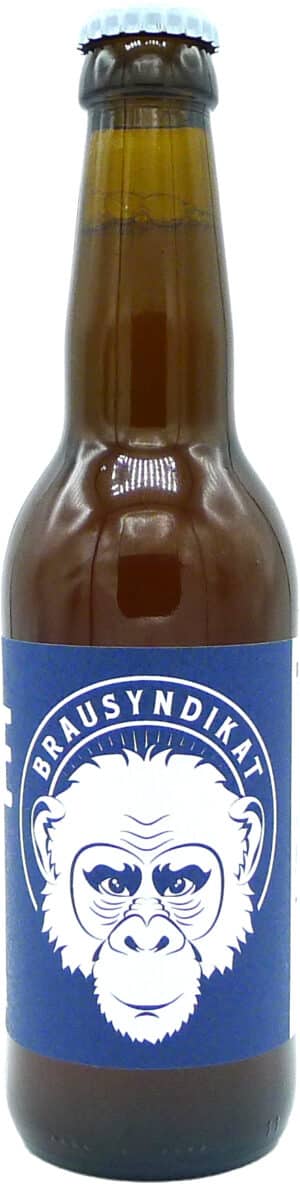 Brausyndikat Pale Ale 5,9% Vol. 24 x 33 cl EW Flasche